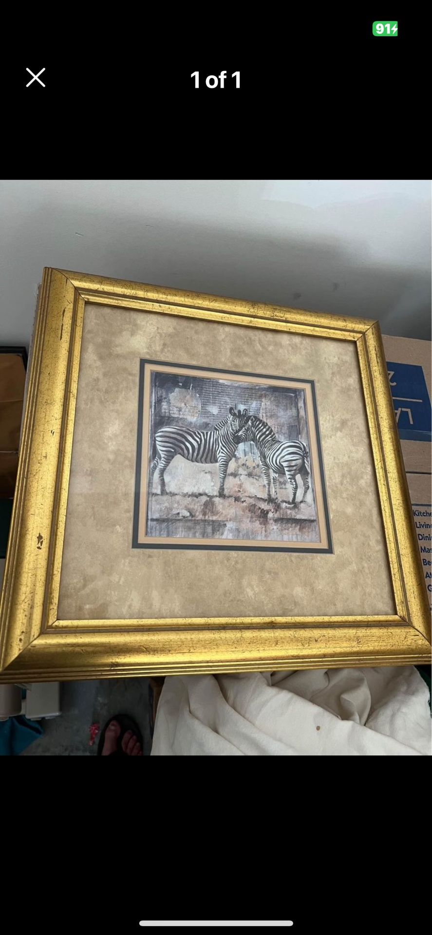 Zebra Print In Frame
