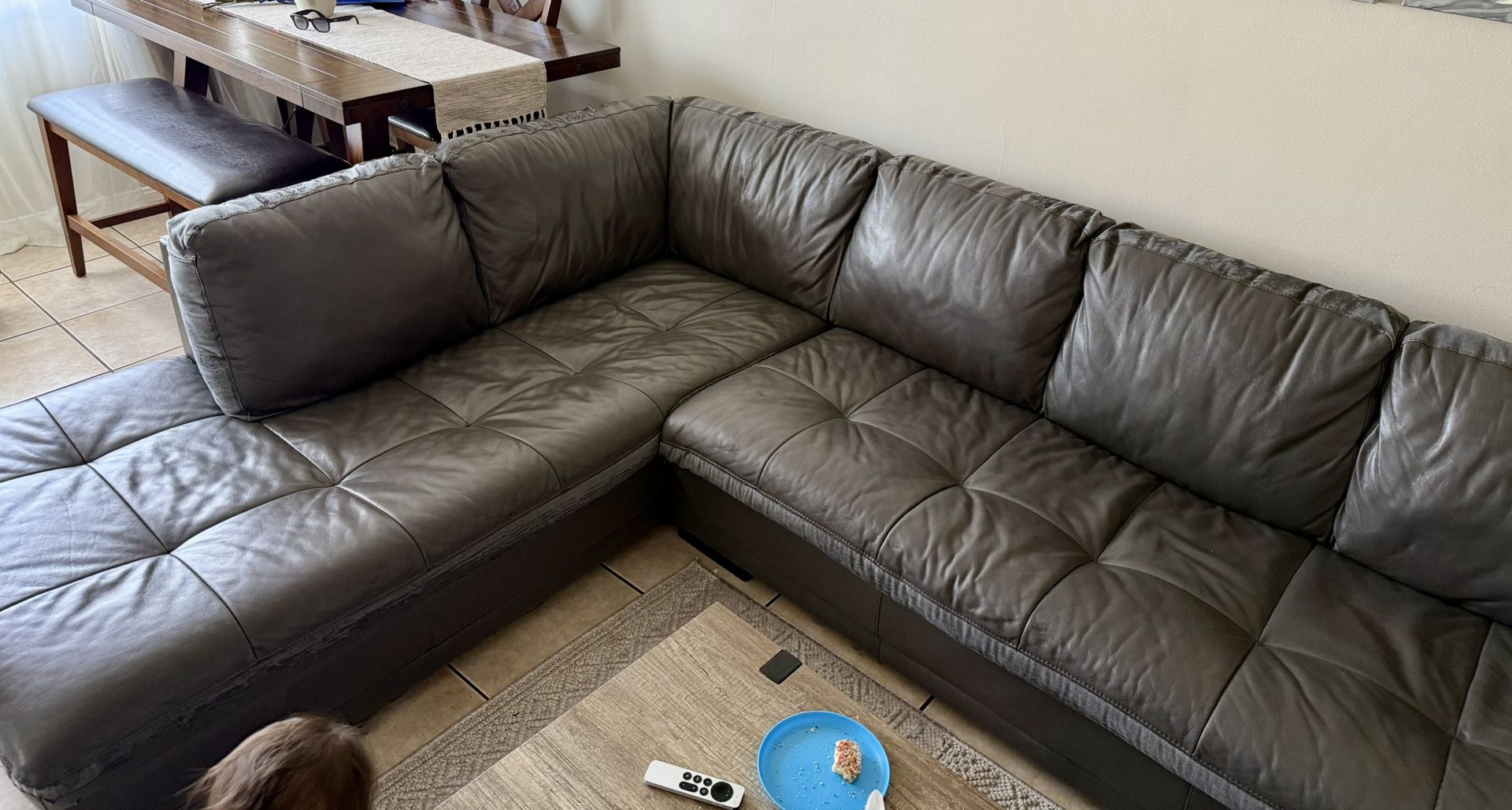 Free Couch