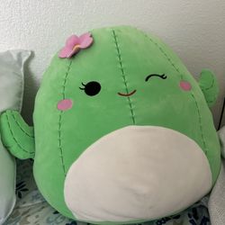 Cactus Squishmallow 