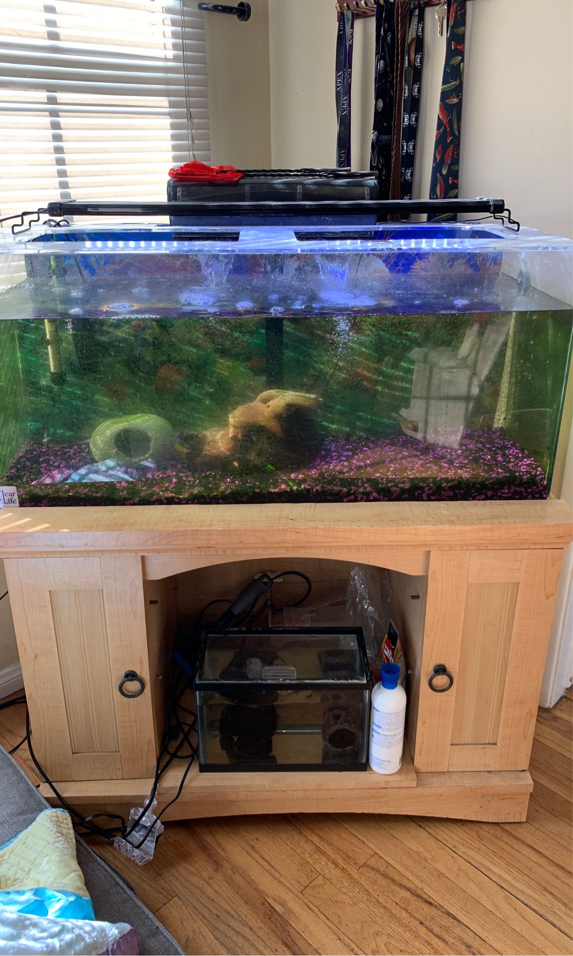 40 gallon acrylic freshwater tank