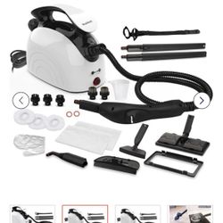 Portable steam cleaner