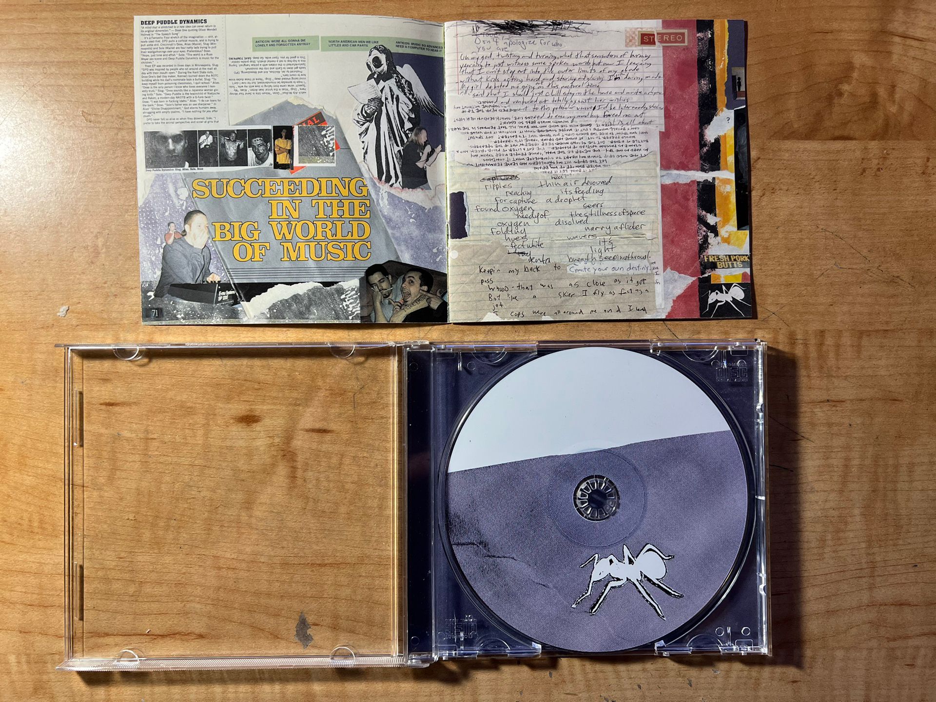 DEEP PUDDLE DYNAMICS - Taste Of Rain Why Kneel - CD - Good Cond 