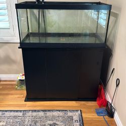 40 Gallon Breeder Tank, Stand And Oase Filter