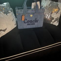 Coach Purse (new York)