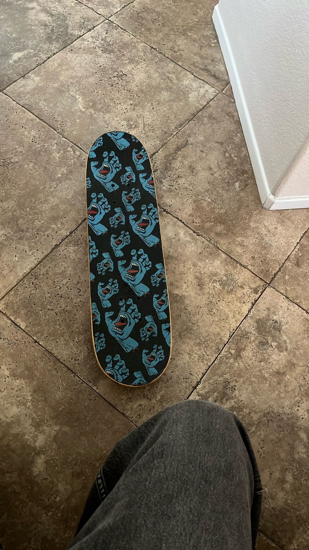 Santa Cruz Skateboard