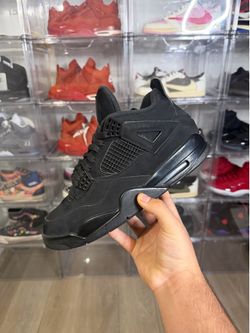Sz 10 Black Cat 4s (2020)