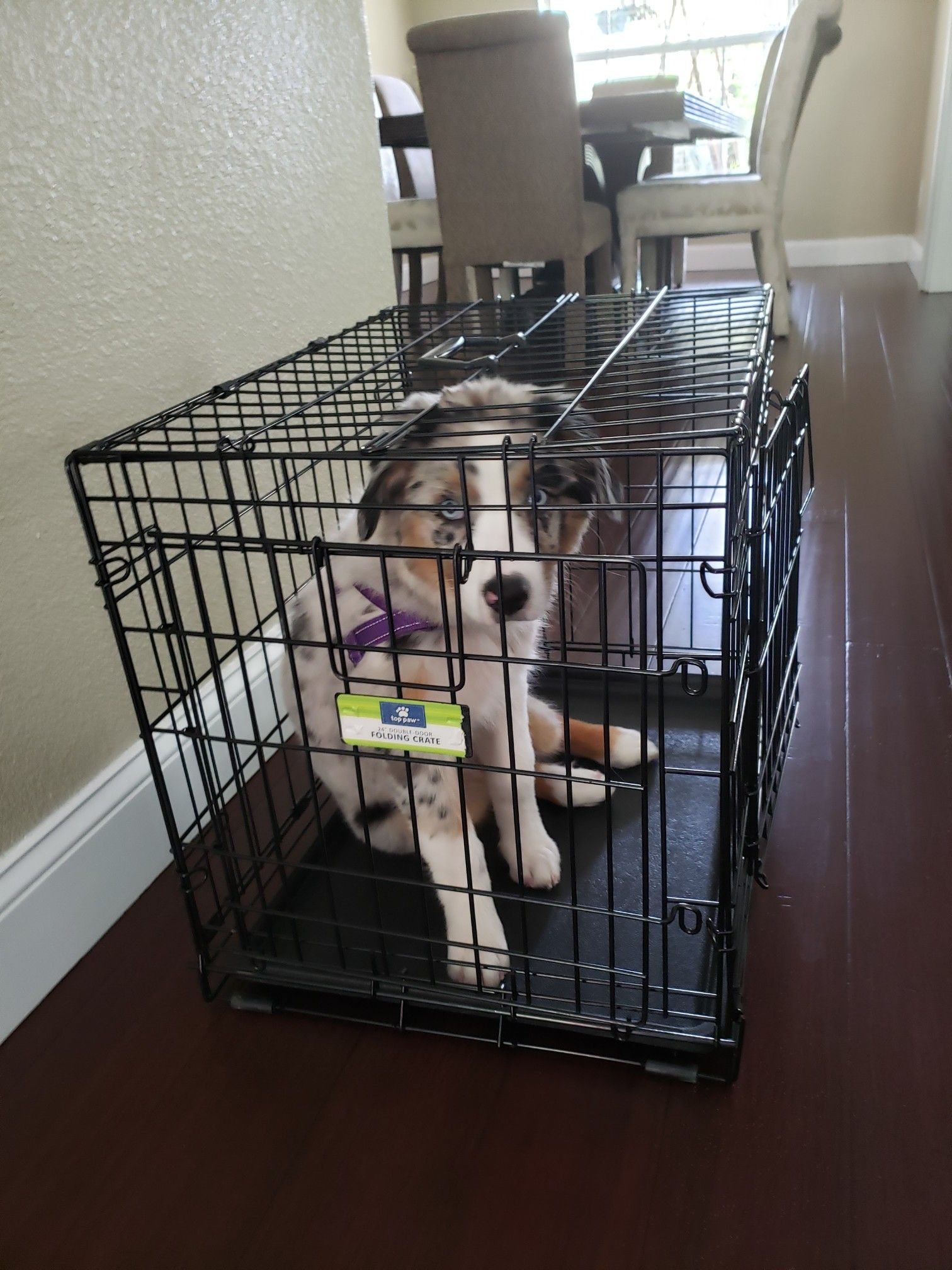 Small dog crate