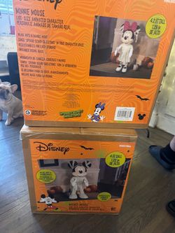 Minnie and Mickey Disney Halloween