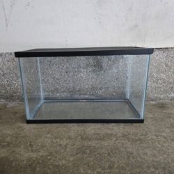 10 Gallon Aquarium Tank