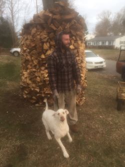 Firewood for sale