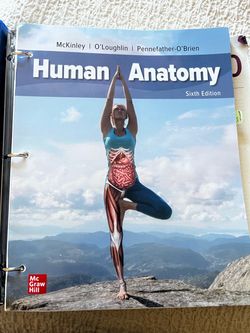 Human anatomy textbook