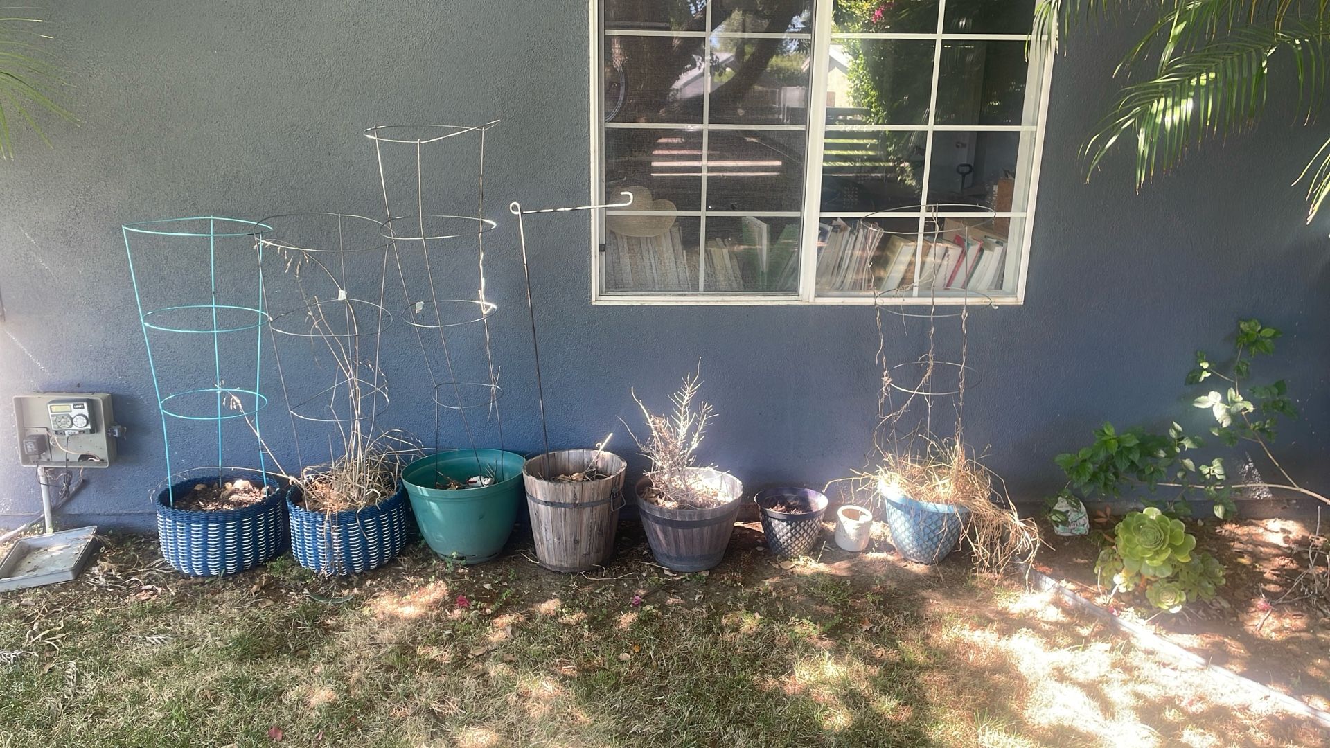 Planters And Pots
