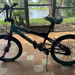 20” Kent Bicycle