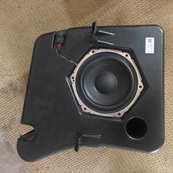 Tesla Model S Subwoofer