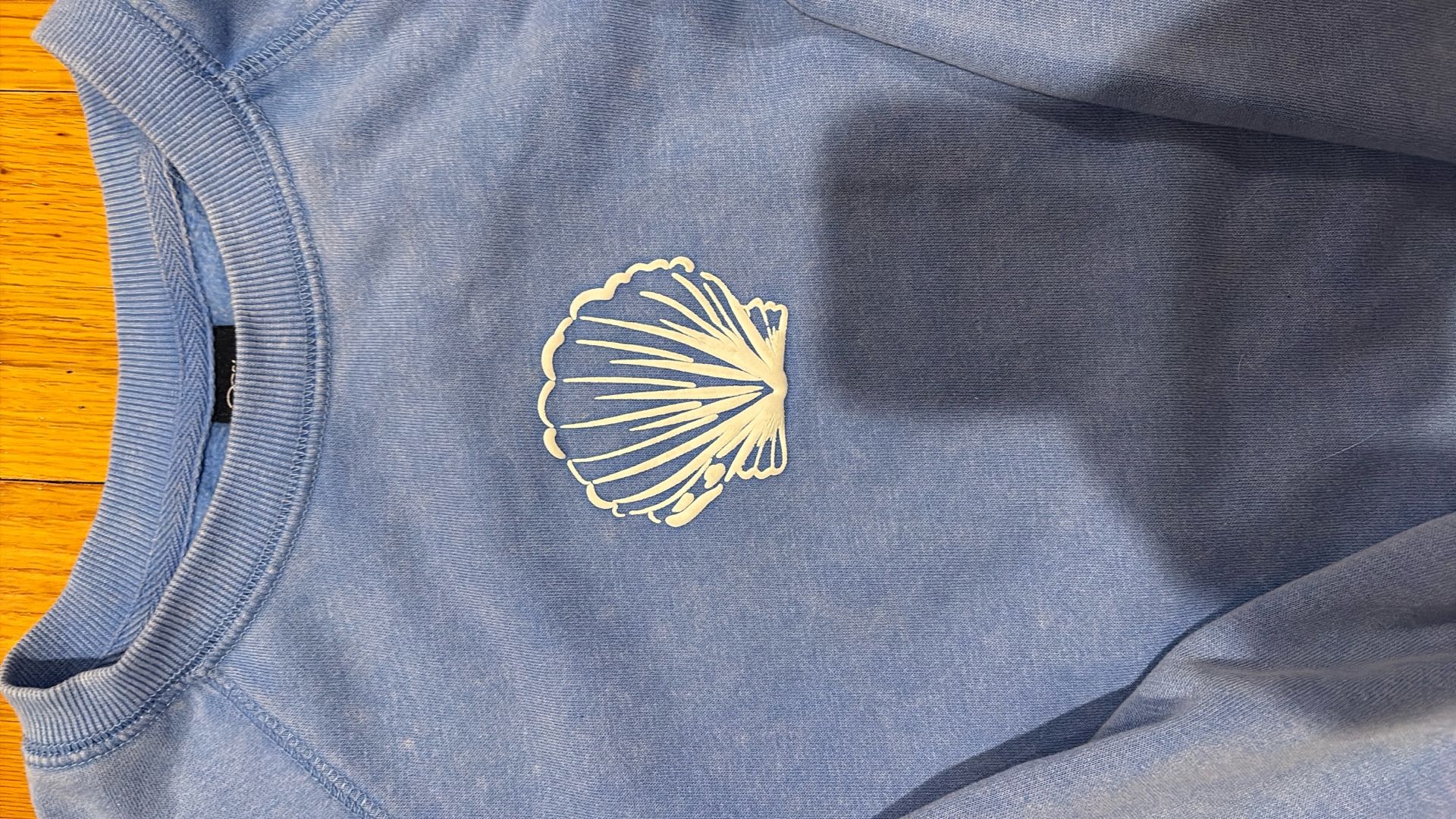 Seashell Sweatshirt Girls