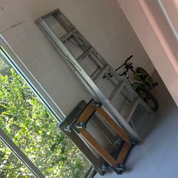 LADDER (6 Ft)
