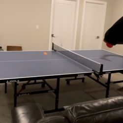 Ping pong Table