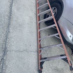 12 ladder