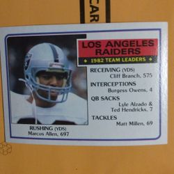 Topps 1983 Radiders Team Learders #293