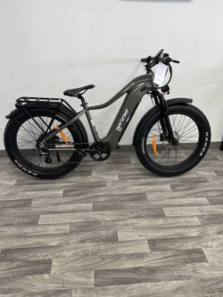 Electric Bike: Young Electric ESCOUT PRO (Grey)