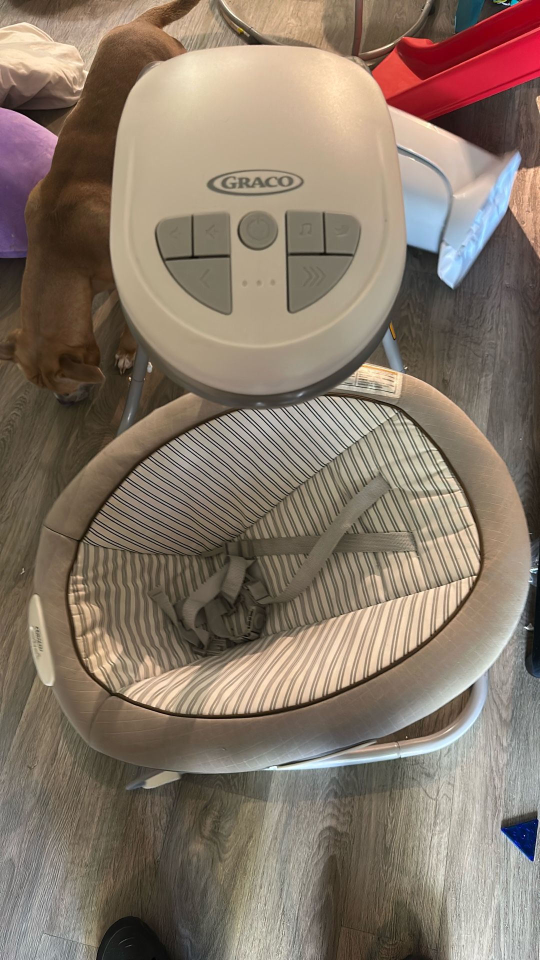 Graco Simple Swing
