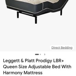 Leggett and Platt Adjustable Queen Bed