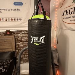 Everlast Heavy Bag with Stand 