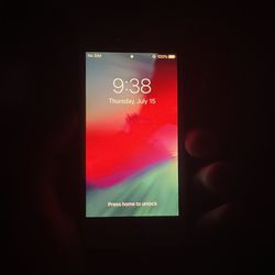 iPhone SE first generation 16 GB Unlocked By Verizon