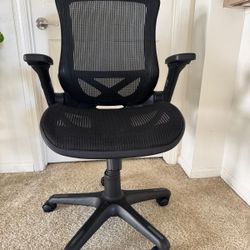 Costco Office Chair