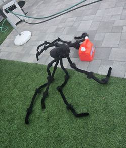 Gigantic black spider