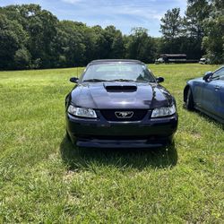 2003 Ford Mustang