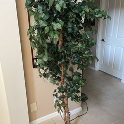 Ficus Artificial Tree in Pot