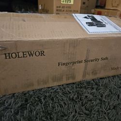 HOLEWOR  FINGERPRINT  SECURITY  SAFE 