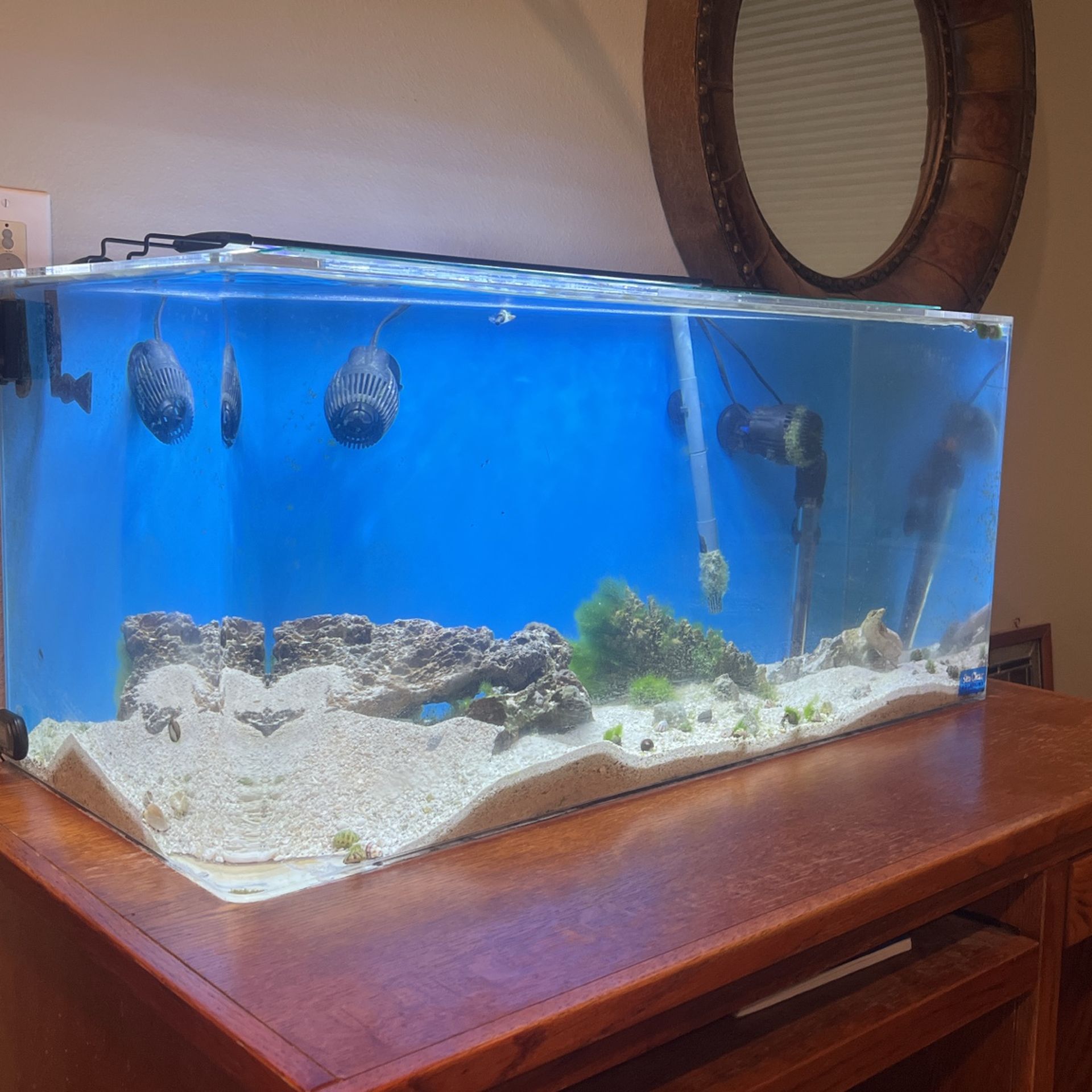 Saltwater 40gallon Acrylic Aquarium -stand (desk) - cartridge Filter-LED Light (non-coral)- 50 Pounds Live Sand - Pistol Shrimp - 15 Pounds Live Rock