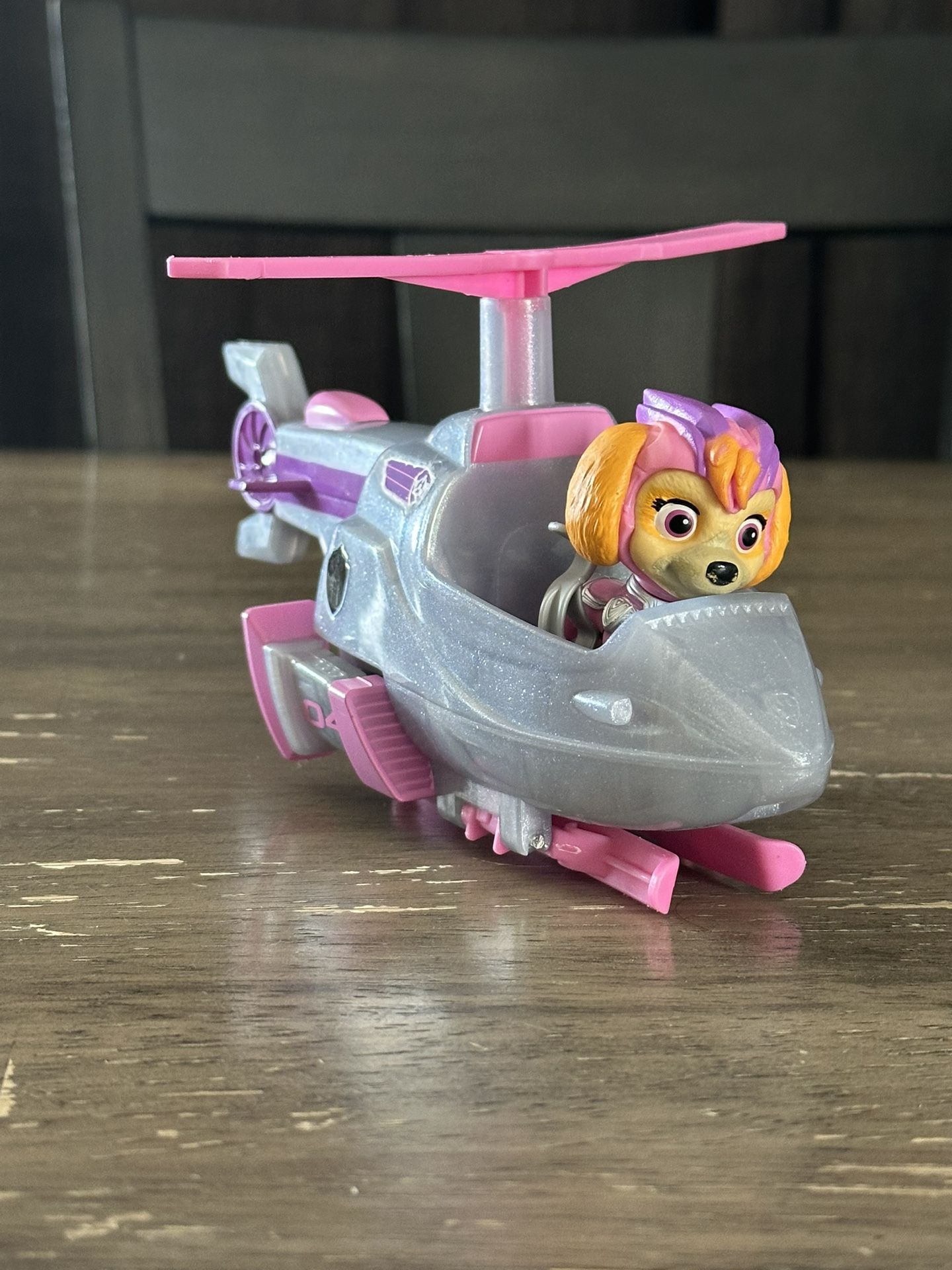 Ski Paw Patrol