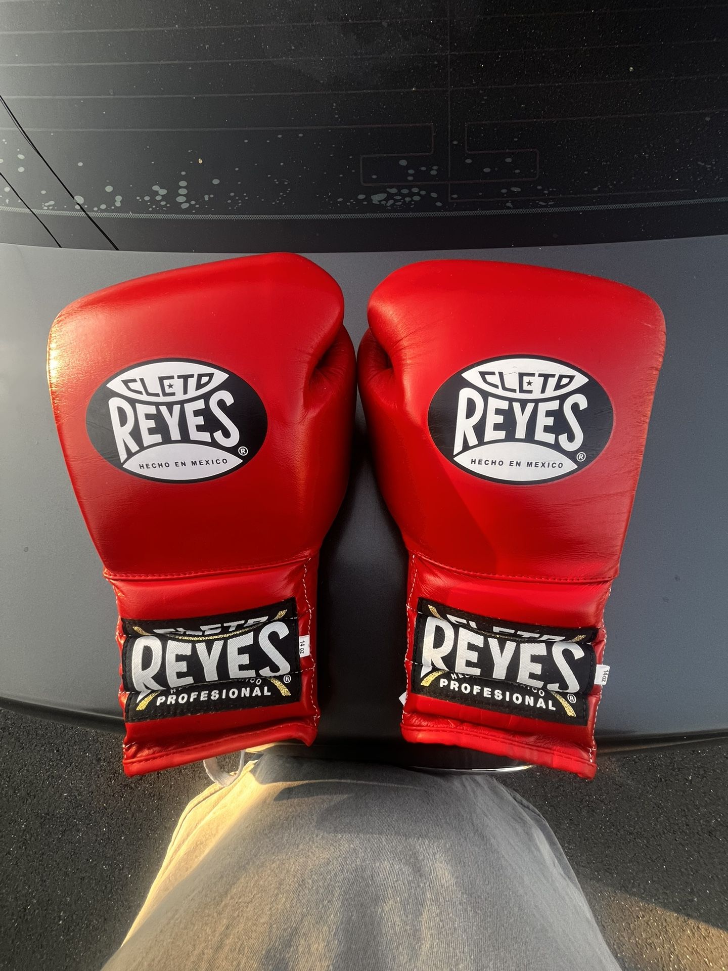 14 Oz Reyes Boxing Gloves