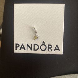 Pandora Charm 