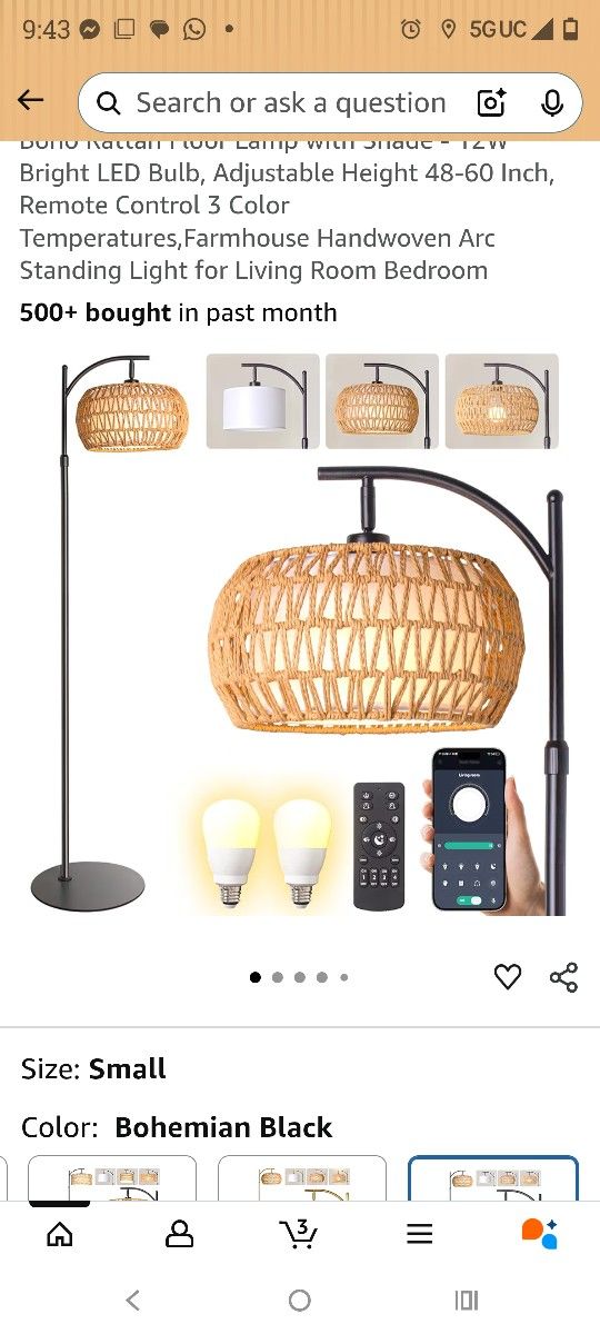 Gold Boho Rattan Floor Lamp w/Remote, Dimmable (2700K - 6000K), 2 - in - 1 Wicker & Fabric Shade, Adjustable 165-172cm for Living Room & Bedroom