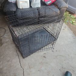 Dog Kennel