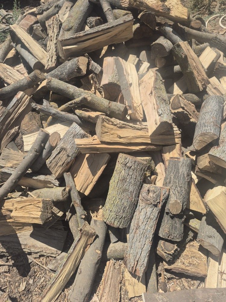Firewood