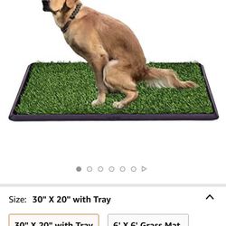Dog Potty Training Mat