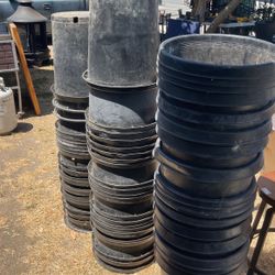 15 Gallon Pots