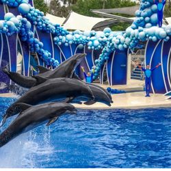 Seaworld Tickets/Boletos