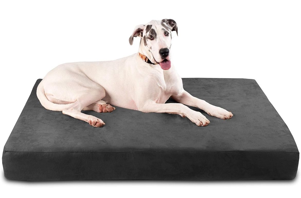 Giant Orthopedic Dog Bed (Big Barker)