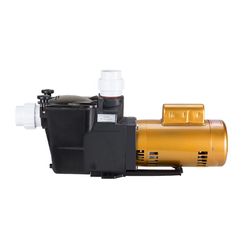 Pool Pump 1.5 HP
