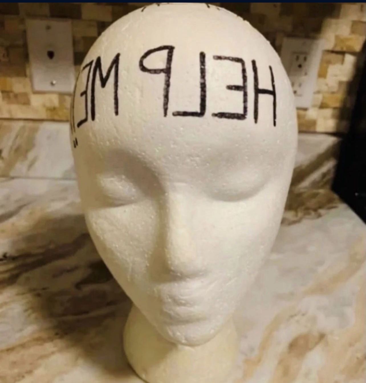 WWE ECW Al Snow Autographed Mannequin Styrofoam Head Rare