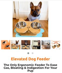 Elevated Dog Feeder (NibbleyPets)