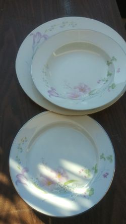 Dinner plate set