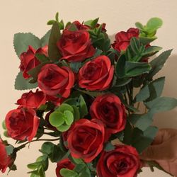 Preciosas Rosas Rojas  