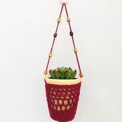 succulent hanger plant 🪴